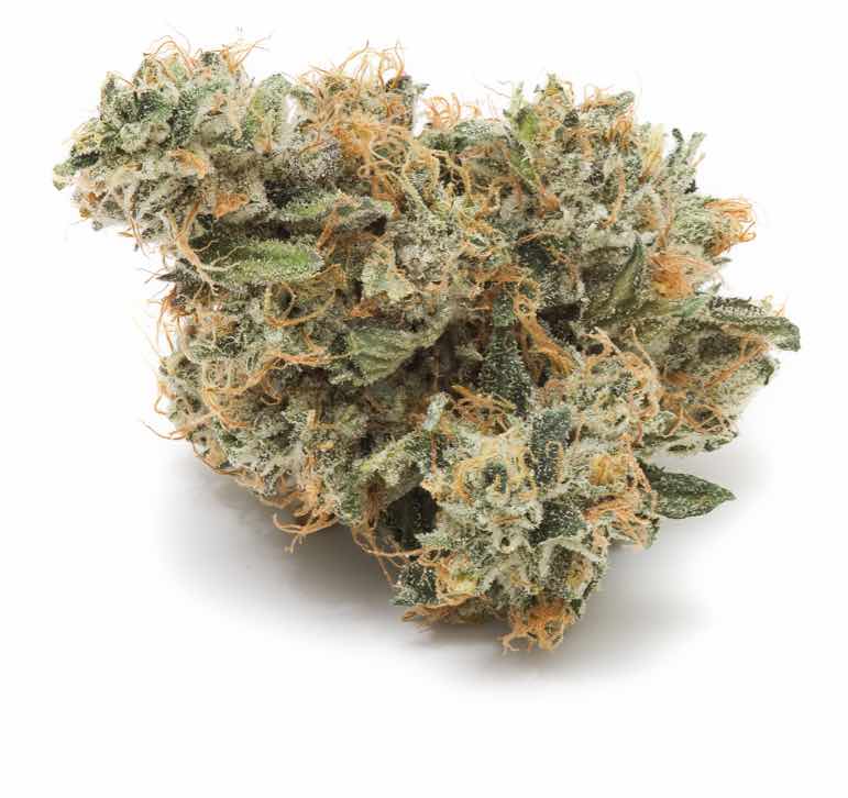 Coast Mountain Cannabis - Organic Cannabis | Online Cannabis Store