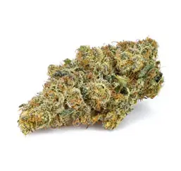 Island Pink Kush strain – premium organic cannabis for sale online in Canada