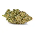 Island Pink Kush strain – premium organic cannabis for sale online in Canada