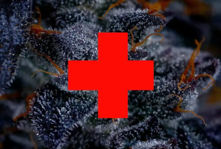Medical Cannabis: Benefits, Risks & Access in Canada