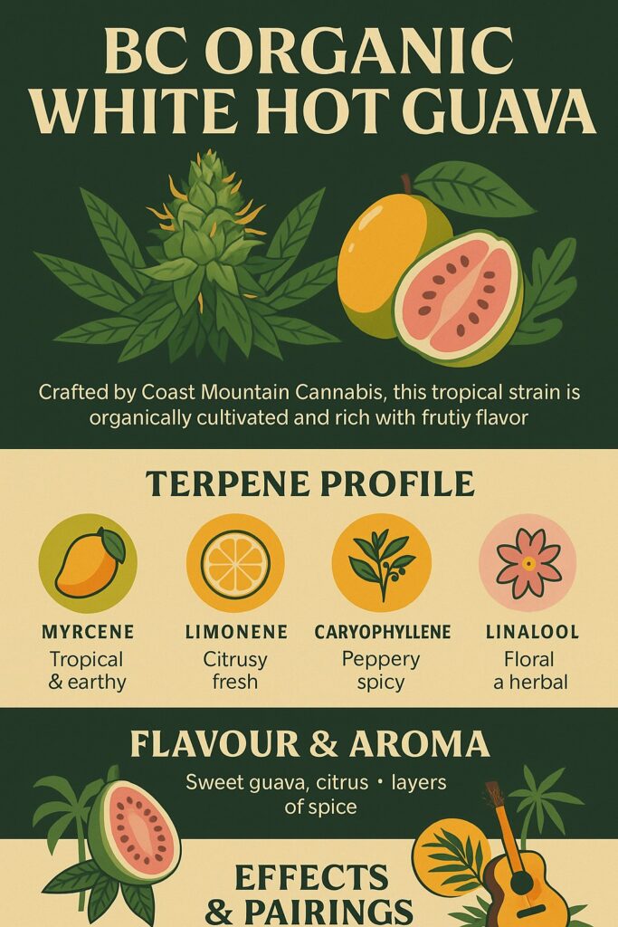 Exploring the Tropical Terpene Symphony of BC Organic White Hot Guava