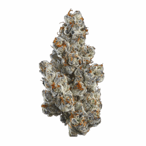 BC Organic Bling Blaow