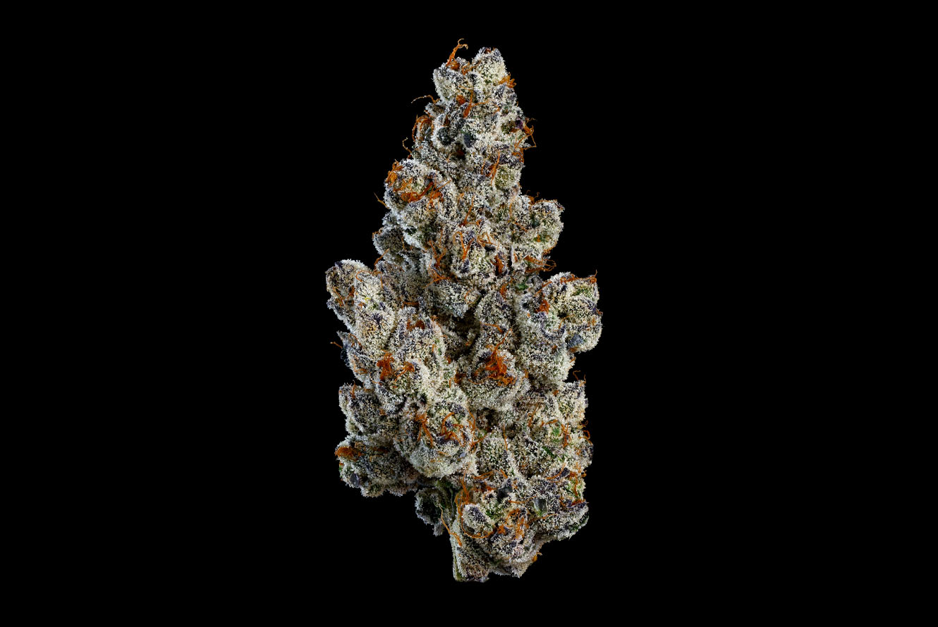 BlingBlaow_DriedFlower_Hero_Black