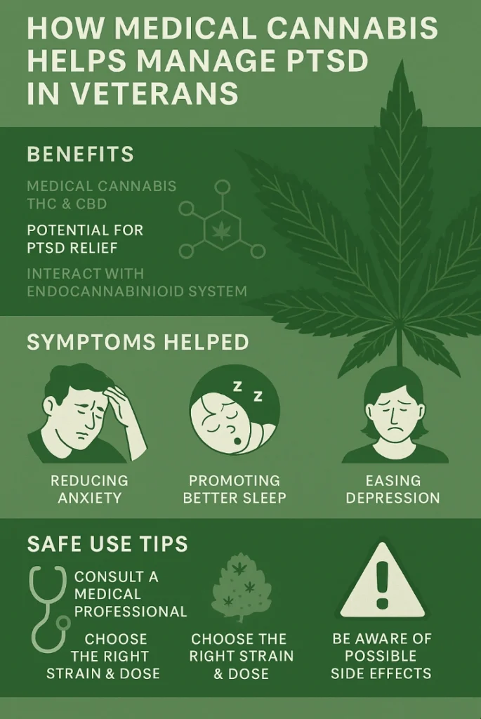 How Medical Cannabis Helps Veterans Manage PTSD