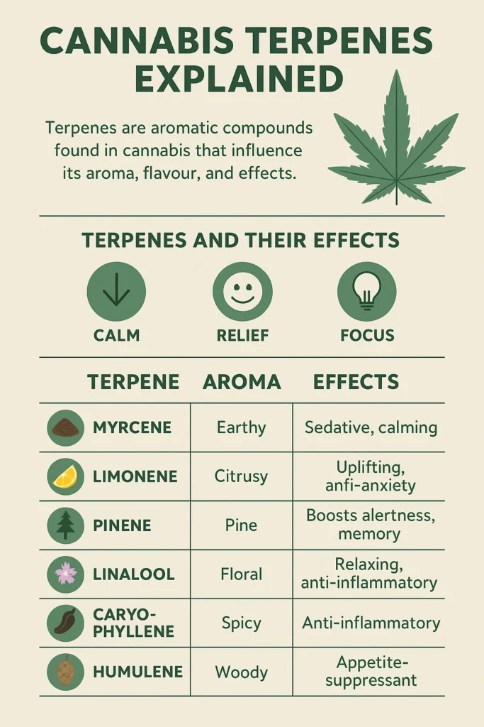 Cannabis Terpenes- Aromatic Compounds Shaping Your Healing Experience