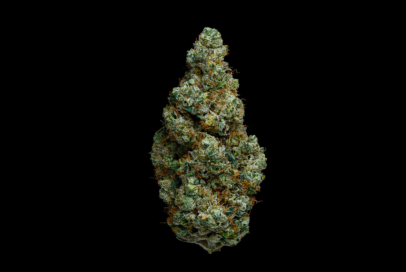CakenBake_DriedFlower_Hero_Black