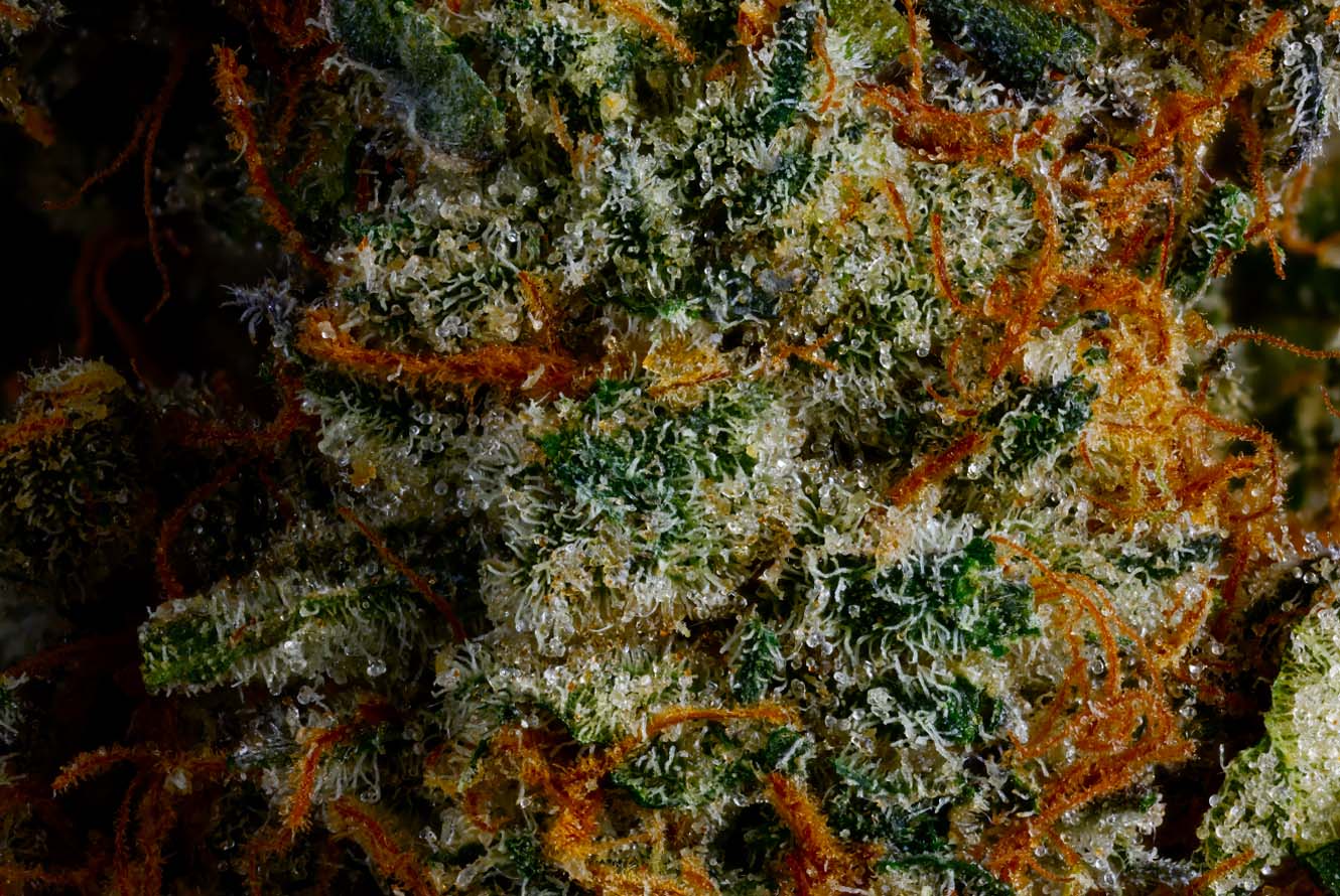 MandarinOctane_DriedFlower_Macro