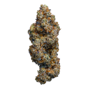 BC Organic Frosted Fruit Cake